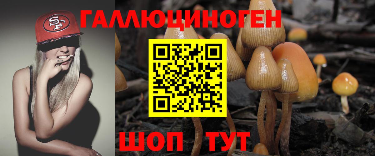 Псилоцибиновые грибы Cubensis  купить наркоту  Ковров  Вход с VPN 